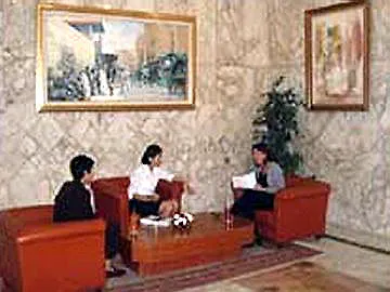 ****  Diplomat Hotel Túnez Túnez